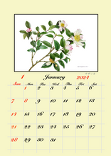 Load image into Gallery viewer, 2023 Masako Sasaki Botanical art Calendar　
