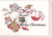 Load image into Gallery viewer, Christmas card (Viburnum dilatatum)
