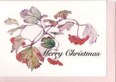 Christmas card (Viburnum dilatatum)