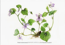 Load image into Gallery viewer, Postcard Set: Violets G (set of 6)

