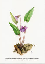 Load image into Gallery viewer, Postcard Set: Violets A (set of 6)
