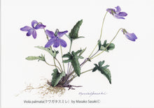 Load image into Gallery viewer, Postcard Set: Violets B (set of 6)
