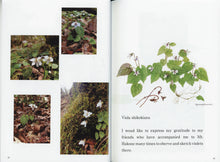 画像をギャラリービューアに読み込む, 画集「Violas in Japan」（佐々木正子スミレ集）
